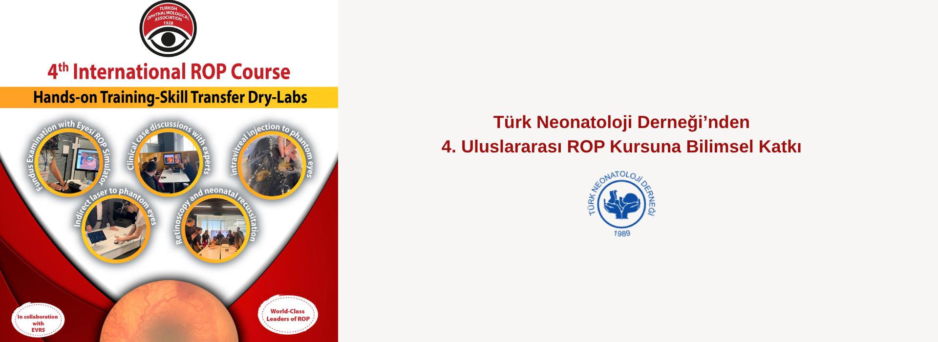 neonatoloji,yenidoğan,dernek